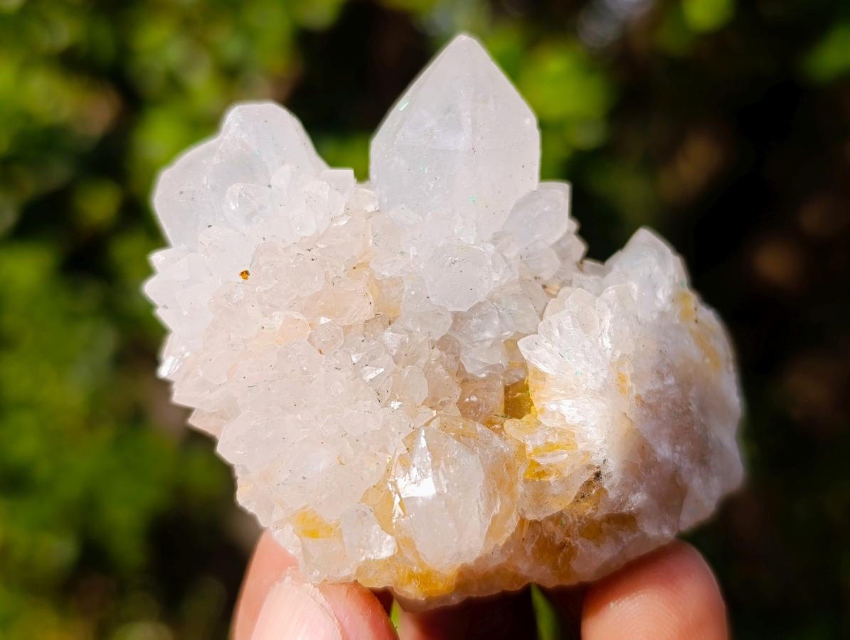 Natural Mix of African Minerals and Crystals Set of 12 x 1 From Southern Africa