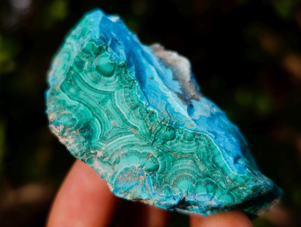 Natural Mix of African Minerals and Crystals Set of 12 x 1 From Southern Africa