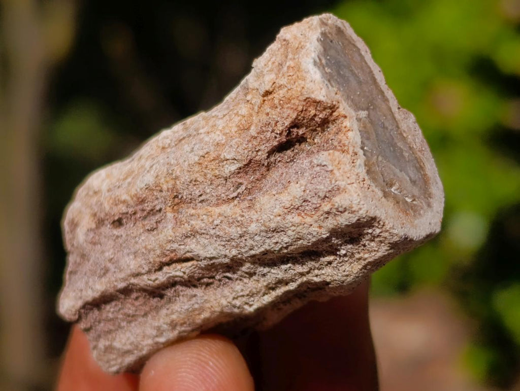 Natural Mix of African Minerals and Crystals Set of 20 x 1 From Southern Africa