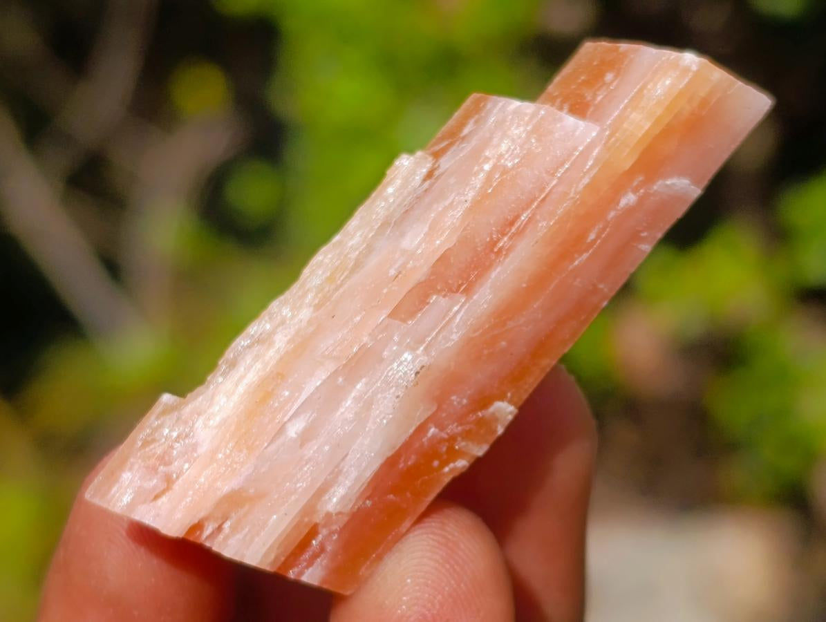 Natural Mix of African Minerals and Crystals Set of 20 x 1 From Southern Africa