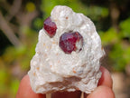 Natural Mix of African Minerals and Crystals Set of 20 x 1 From Southern Africa