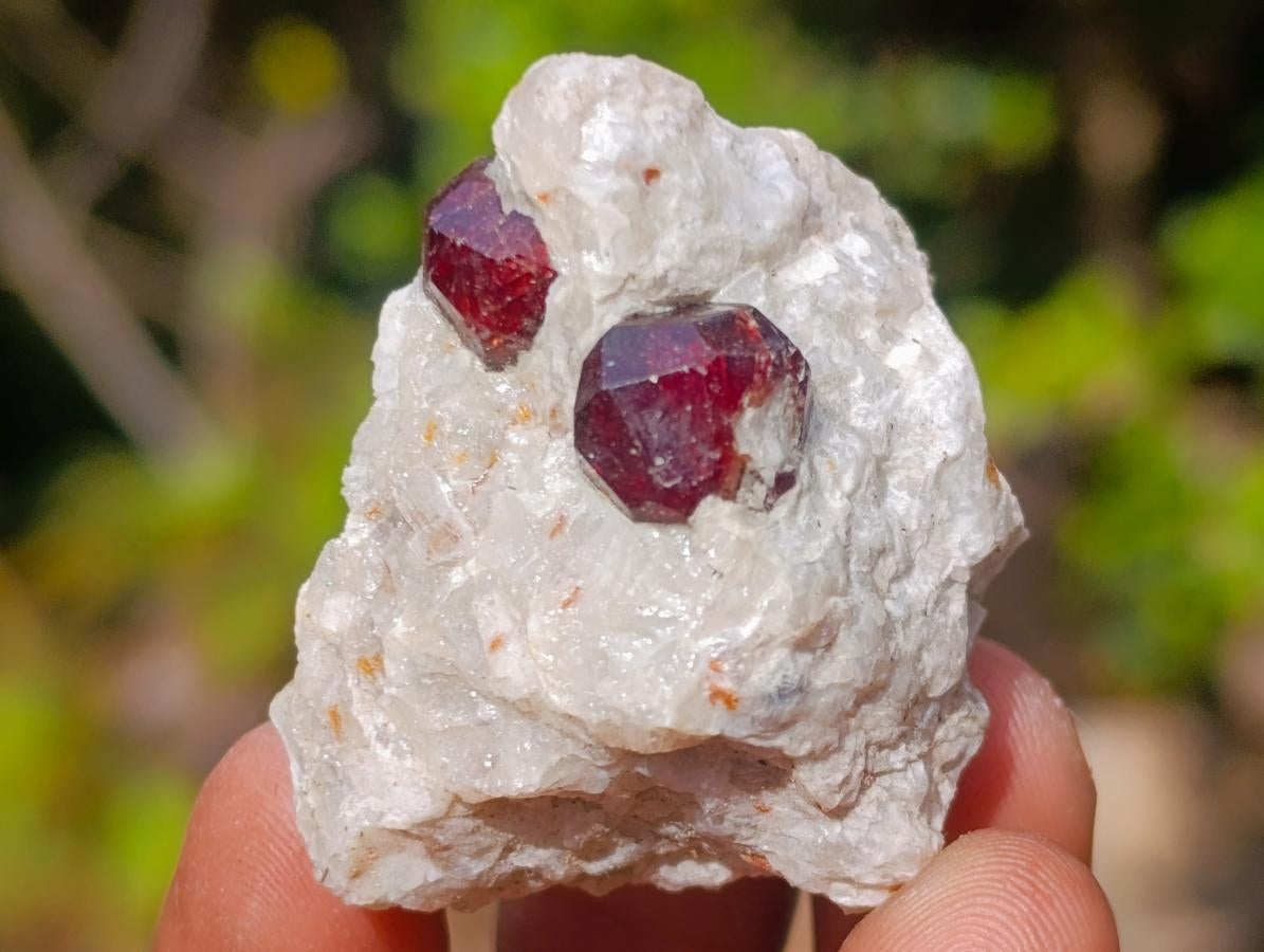 Natural Mix of African Minerals and Crystals Set of 20 x 1 From Southern Africa