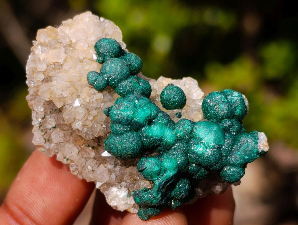 Natural Mix of African Minerals and Crystals Set of 20 x 1 From Southern Africa