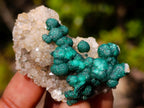 Natural Mix of African Minerals and Crystals Set of 20 x 1 From Southern Africa