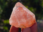 Natural Mix of African Minerals and Crystals Set of 20 x 1 From Southern Africa