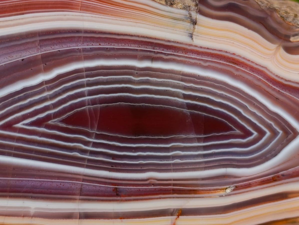 Polished on One Side Large Red Sashe River Agate Nodule x 1 From Shashe River, Zimbabwe