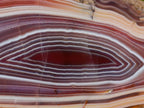 Polished on One Side Large Red Sashe River Agate Nodule x 1 From Shashe River, Zimbabwe