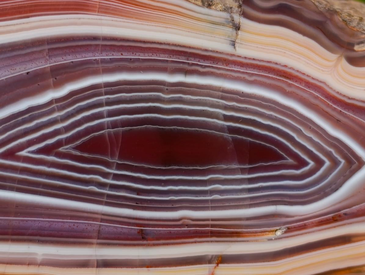Polished on One Side Large Red Sashe River Agate Nodule x 1 From Shashe River, Zimbabwe