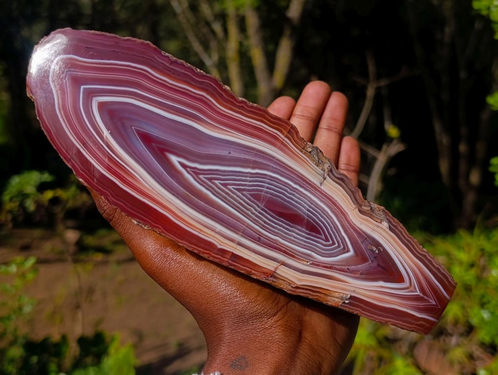 Polished on One Side Large Red Sashe River Agate Nodule x 1 From Shashe River, Zimbabwe
