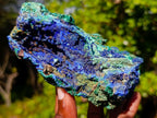 Natural Large Azurite with Malachite Cabinet Specimen x 1 From Jakka Mine, Congo