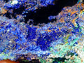Natural Large Azurite with Malachite Cabinet Specimen x 1 From Jakka Mine, Congo