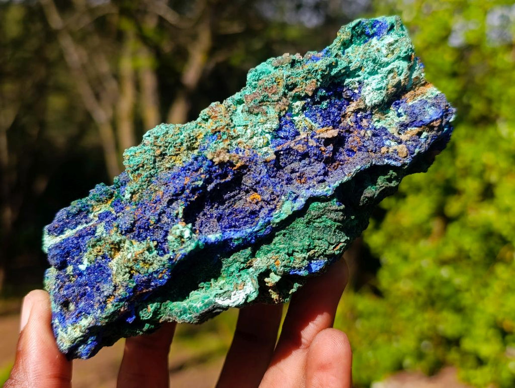 Natural Large Azurite with Malachite Cabinet Specimen x 1 From Jakka Mine, Congo