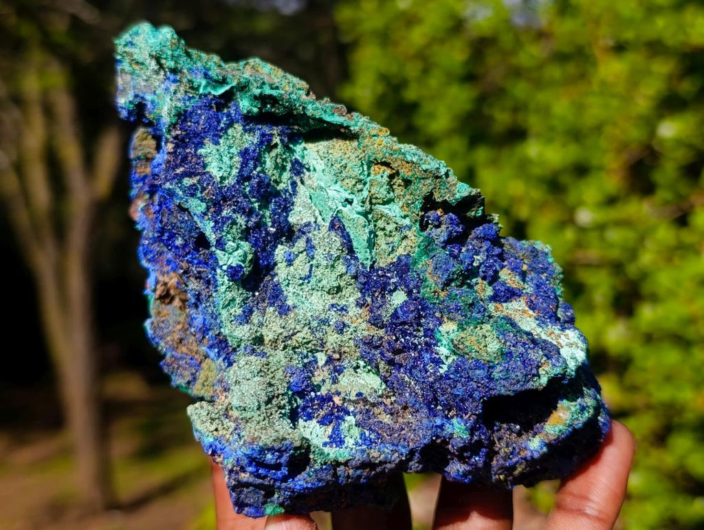 Natural Large Azurite with Malachite Cabinet Specimen x 1 From Jakka Mine, Congo