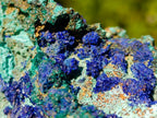 Natural Large Azurite with Malachite Cabinet Specimen x 1 From Jakka Mine, Congo