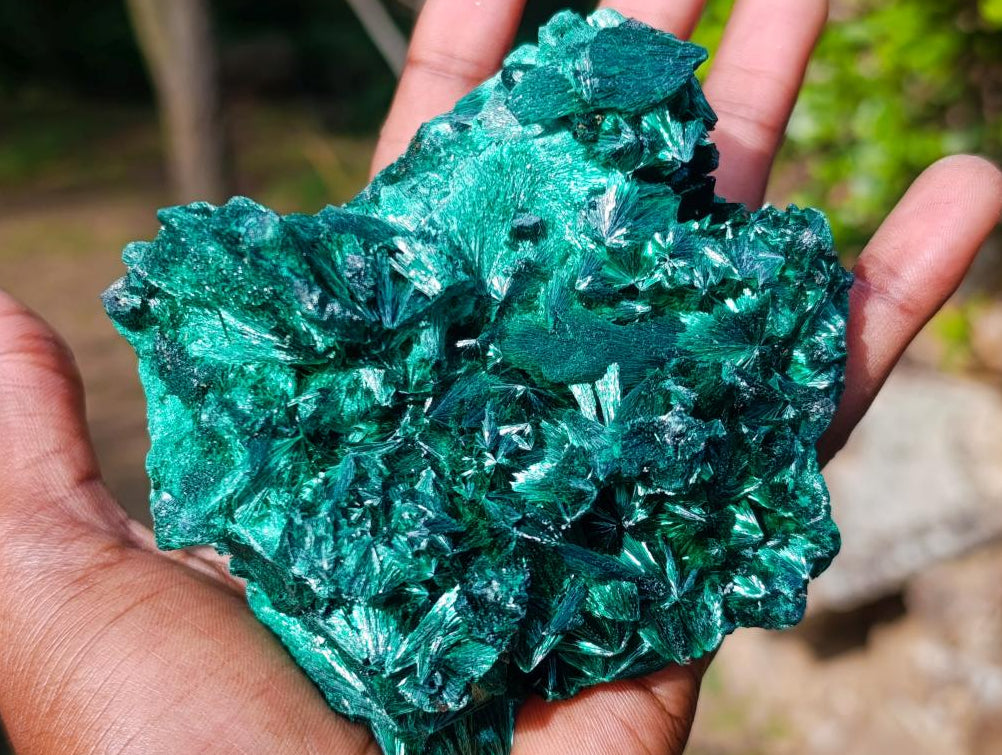 Natural Cabinet Size Silky Malachite Specimen x 1 From Kasompe, Congo