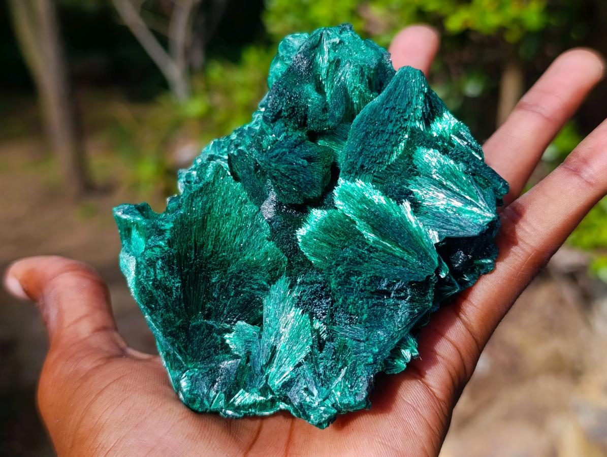 Natural Cabinet Size Silky Malachite Specimen x 1 From Kasompe, Congo