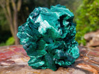 Natural Cabinet Size Silky Malachite Specimen x 1 From Kasompe, Congo