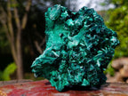 Natural Cabinet Size Silky Malachite Specimen x 1 From Kasompe, Congo