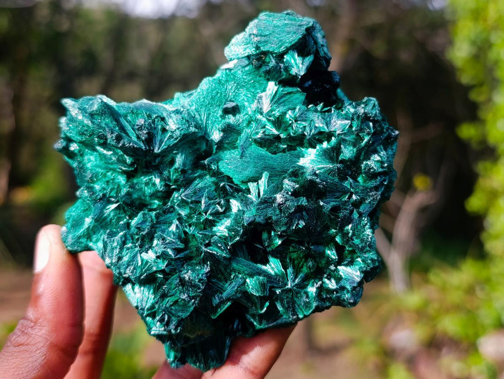 Natural Cabinet Size Silky Malachite Specimen x 1 From Kasompe, Congo
