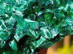 Natural Cabinet Size Silky Malachite Specimen x 1 From Kasompe, Congo