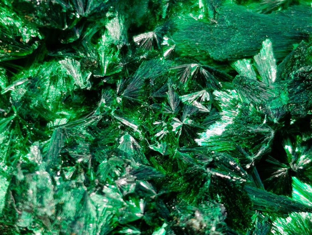 Natural Cabinet Size Silky Malachite Specimen x 1 From Kasompe, Congo