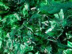 Natural Cabinet Size Silky Malachite Specimen x 1 From Kasompe, Congo