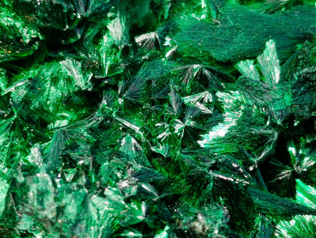 Natural Cabinet Size Silky Malachite Specimen x 1 From Kasompe, Congo
