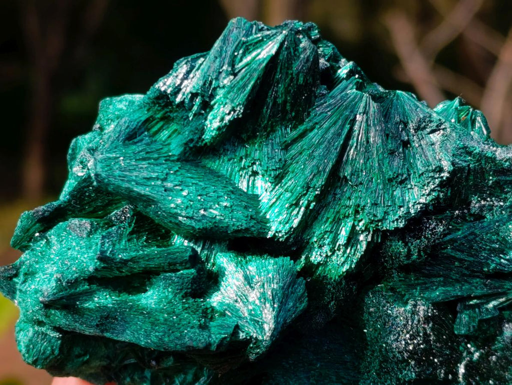Natural Cabinet Size Silky Malachite Specimen x 1 From Kasompe, Congo