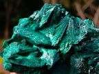 Natural Cabinet Size Silky Malachite Specimen x 1 From Kasompe, Congo