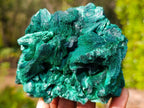 Natural Cabinet Size Silky Malachite Specimen x 1 From Kasompe, Congo