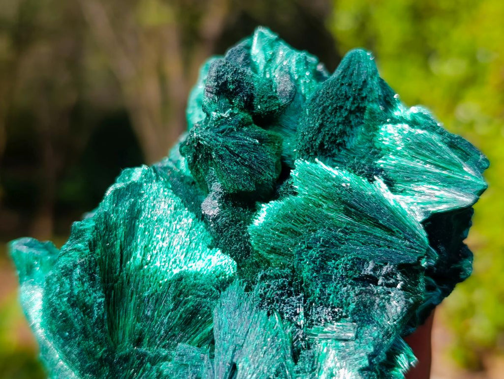 Natural Cabinet Size Silky Malachite Specimen x 1 From Kasompe, Congo