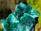 Natural Cabinet Size Silky Malachite Specimen x 1 From Kasompe, Congo