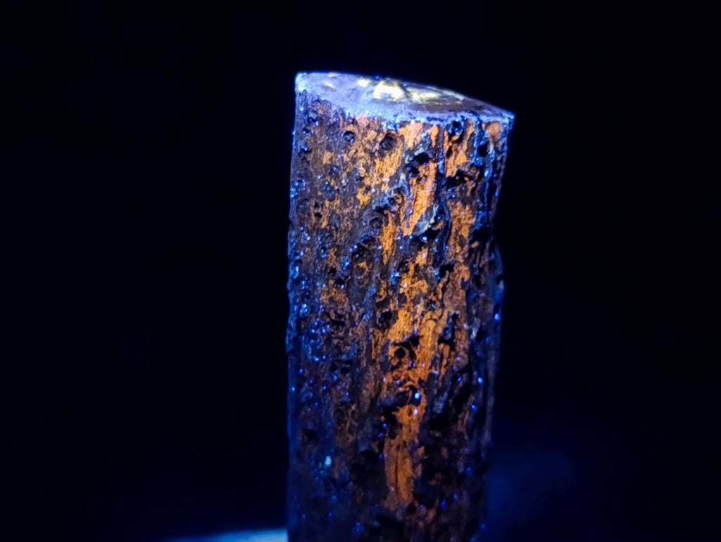 Polished One Side Dadoxylon Petrified Wood Branch x 1 From Gokwe, Zimbabwe