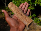 Polished One Side Dadoxylon Petrified Wood Branch x 1 From Gokwe, Zimbabwe