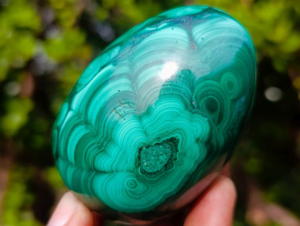 Polished Multi Ring Patterned Malachite Egg x 1 From Congo