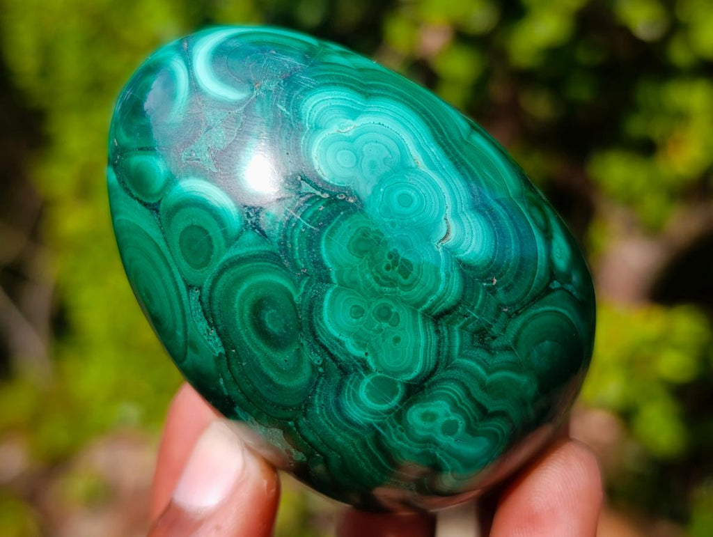 Polished Multi Ring Patterned Malachite Egg x 1 From Congo
