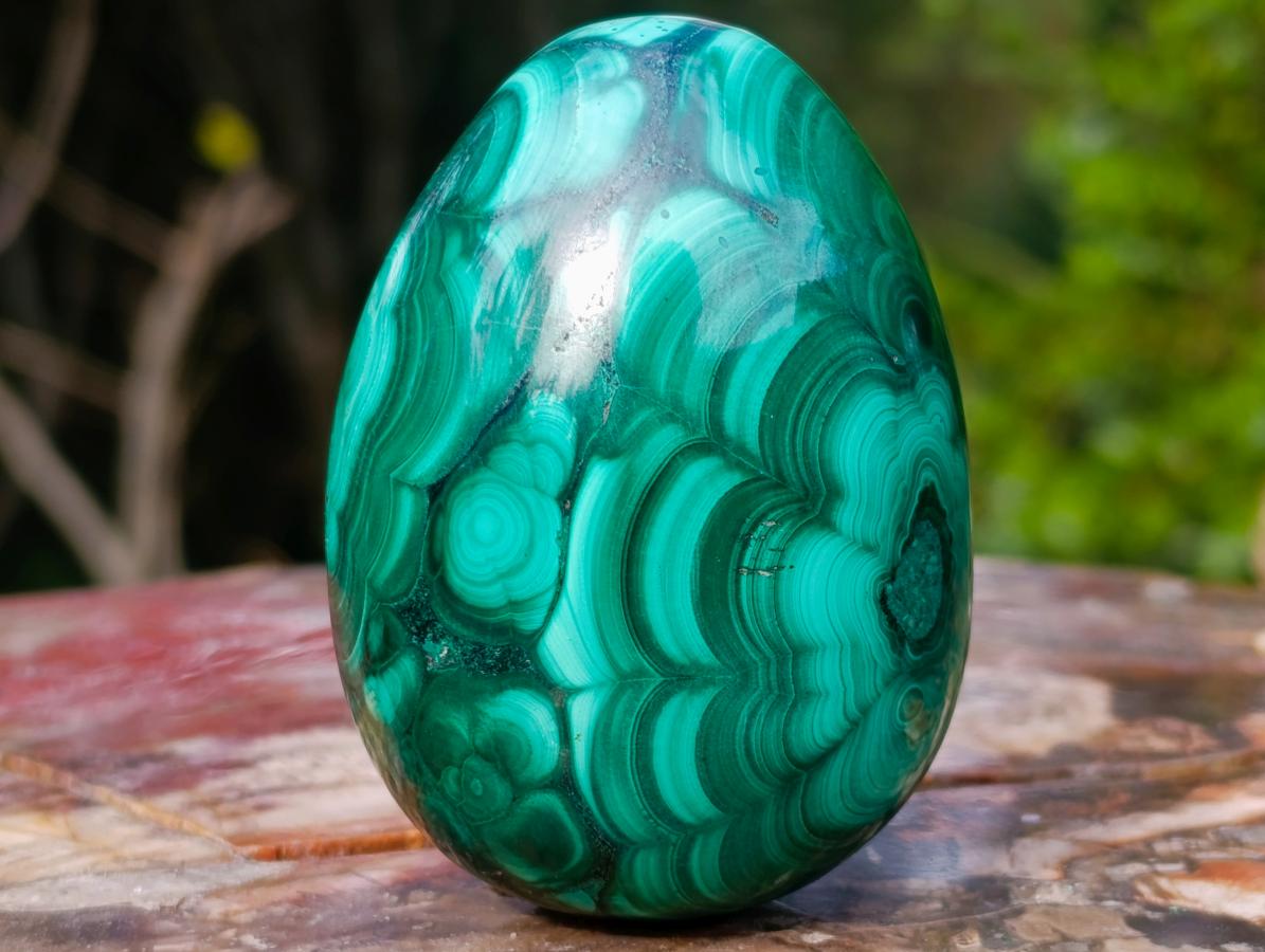 Polished Multi Ring Patterned Malachite Egg x 1 From Congo