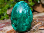 Polished Multi Ring Patterned Malachite Egg x 1 From Congo
