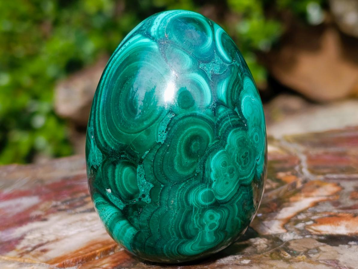 Polished Multi Ring Patterned Malachite Egg x 1 From Congo