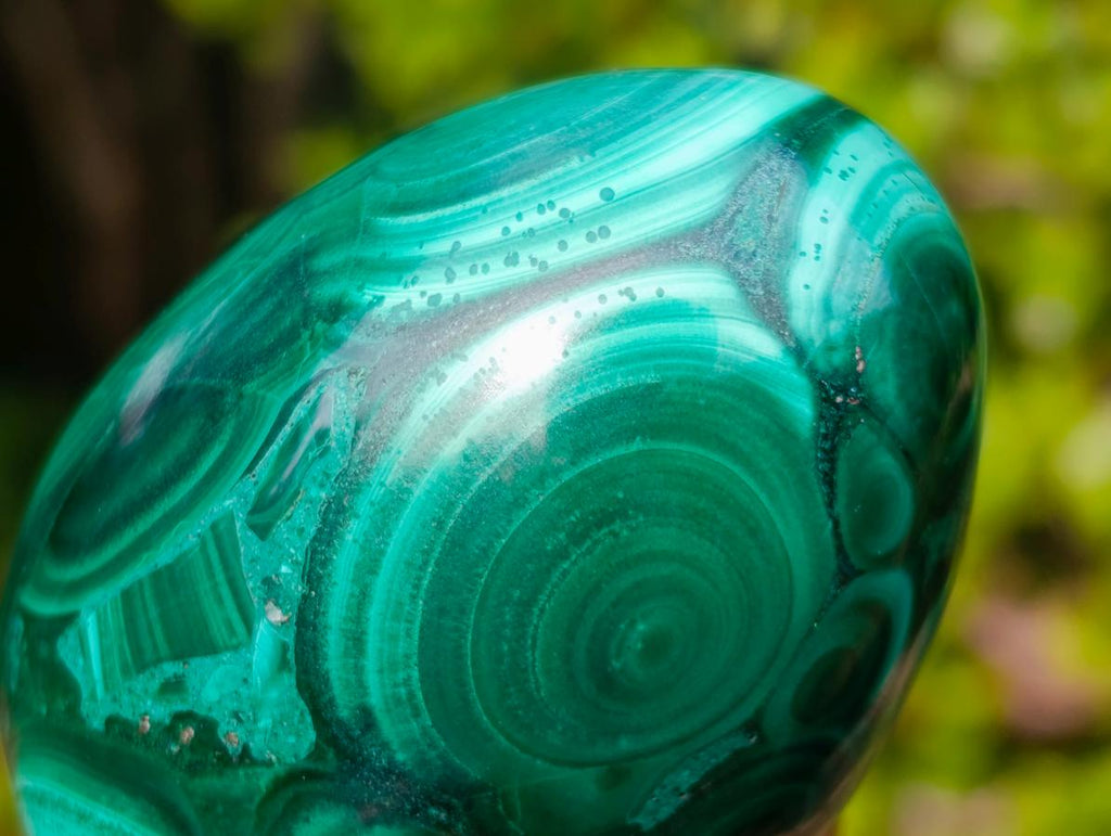 Polished Multi Ring Patterned Malachite Egg x 1 From Congo