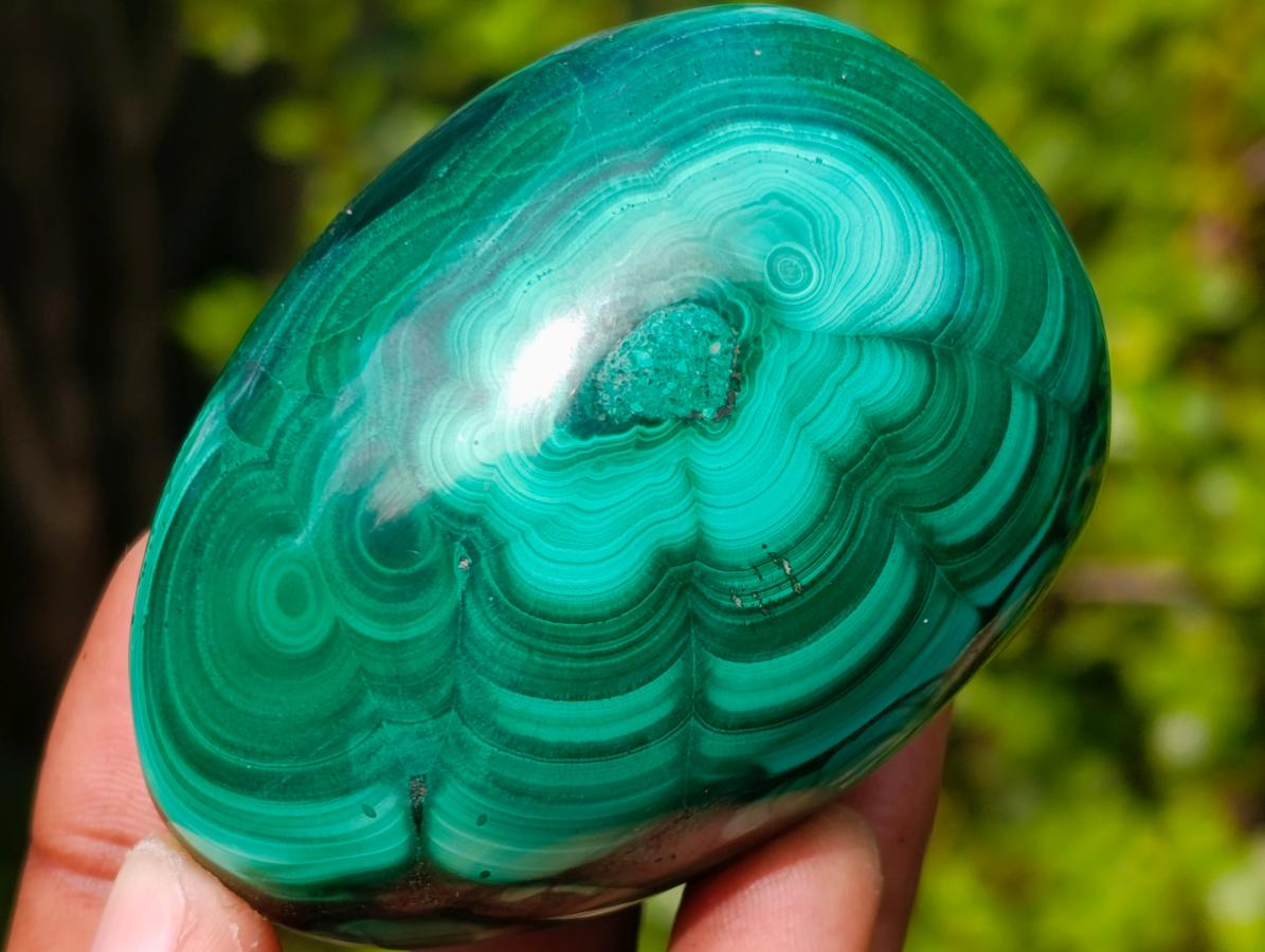 Polished Multi Ring Patterned Malachite Egg x 1 From Congo