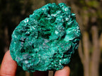 Natural Mix of African Minerals and Crystals Set of 12 x 1 From Southern Africa