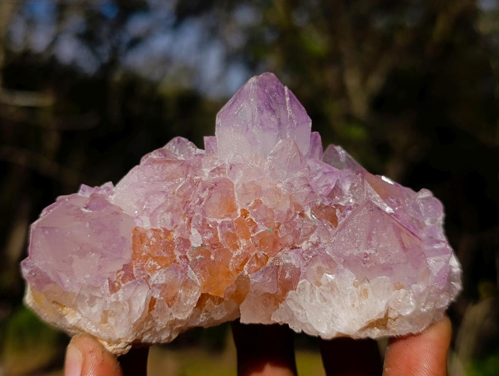 Natural Mix of African Minerals and Crystals Set of 12 x 1 From Southern Africa