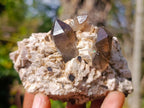 Natural Mix of African Minerals and Crystals Set of 12 x 1 From Southern Africa