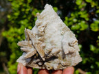 Natural Mix of African Minerals and Crystals Set of 12 x 1 From Southern Africa