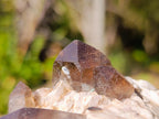 Natural Mix of African Minerals and Crystals Set of 12 x 1 From Southern Africa