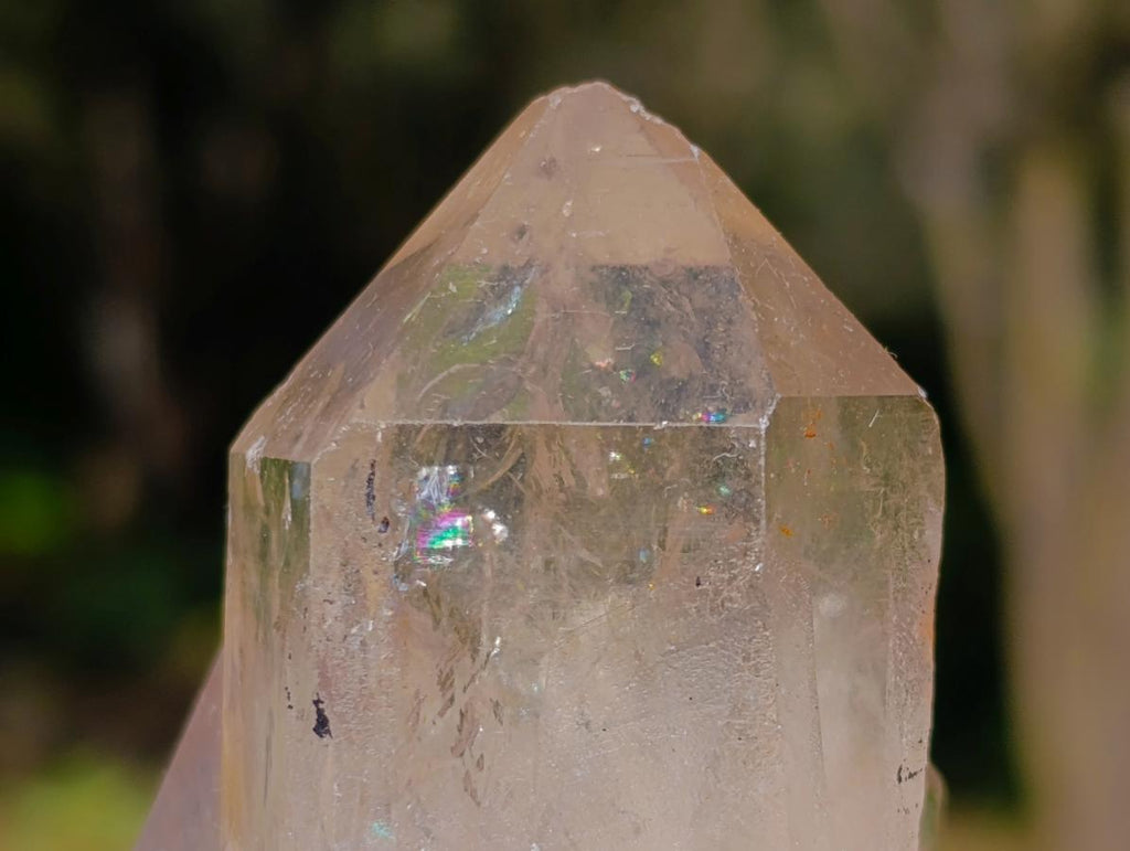 Natural Mix of African Minerals and Crystals Set of 12 x 1 From Southern Africa