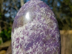 Polished Purple Lepidolite Standing Display Piece x 1 From Madagascar