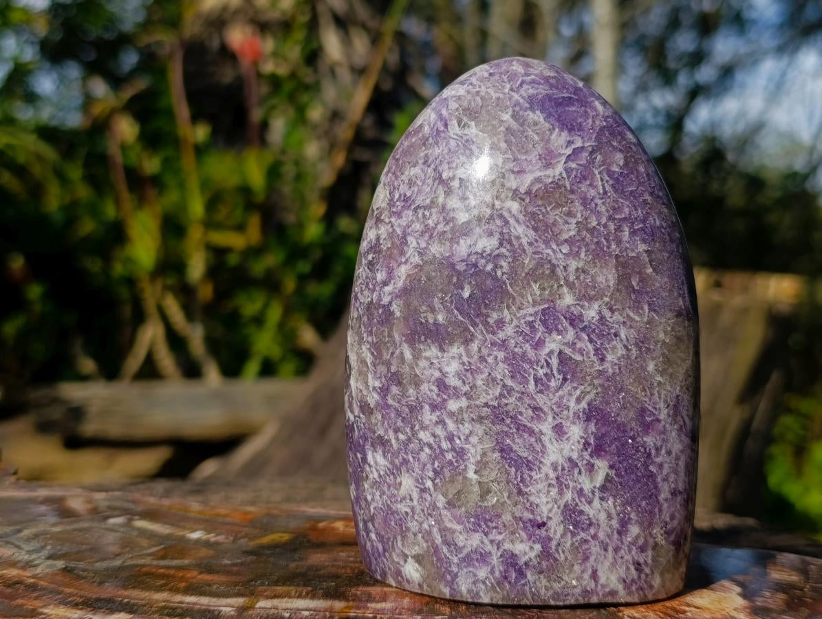 Polished Purple Lepidolite Standing Display Piece x 1 From Madagascar