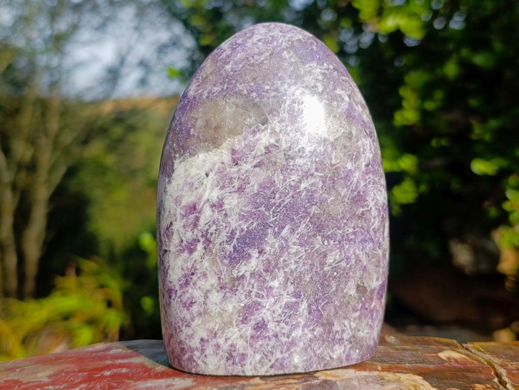 Polished Purple Lepidolite Standing Display Piece x 1 From Madagascar